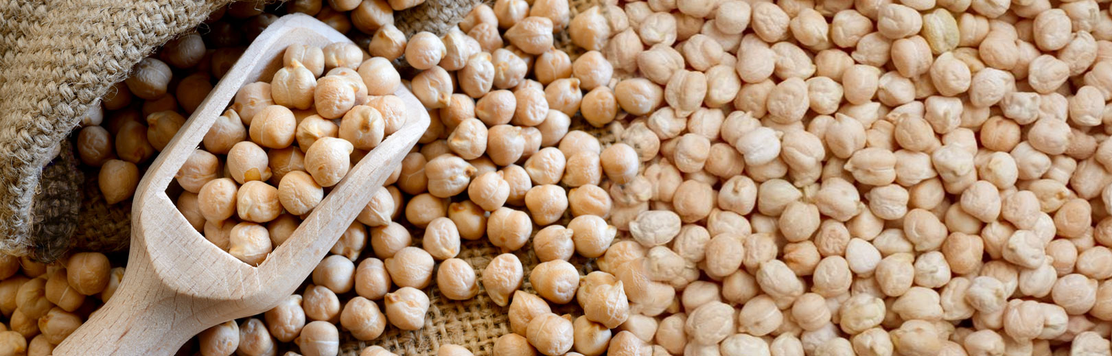Chickpease - Kabuli Chana