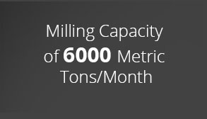 Milling Capacity of 6000 Metric Tons/Month